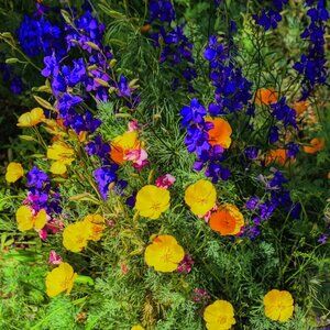 Meet your Posher, Gina